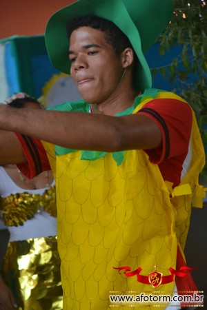 afotorm